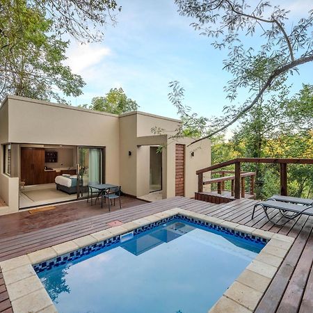 Bushbaby Valley Lodge Hazyview Eksteriør billede