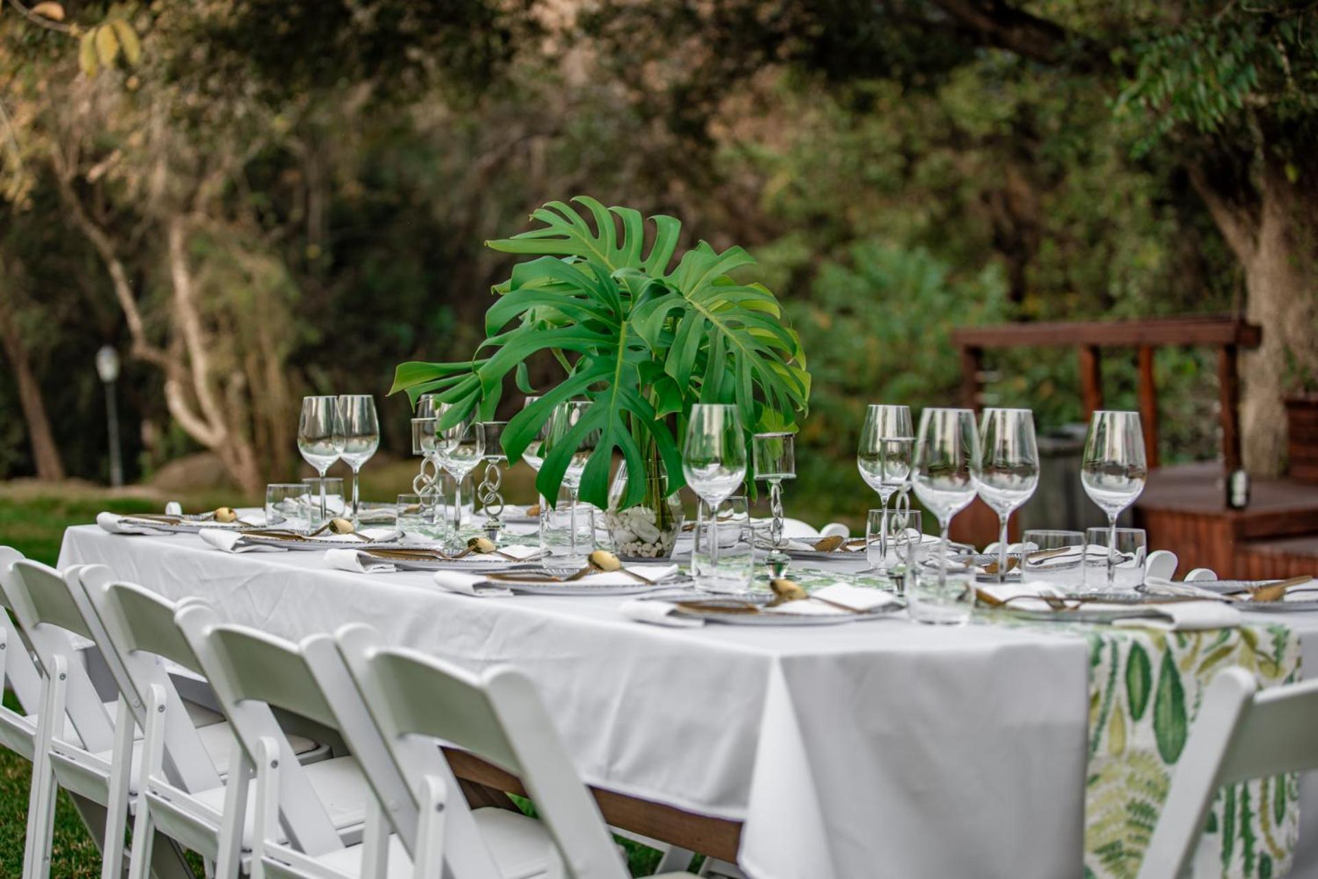 Bushbaby Valley Lodge Hazyview Eksteriør billede